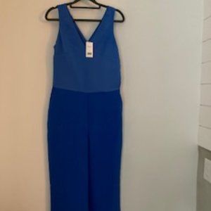 Banana Republic Blue Jumpsuit- Size 2